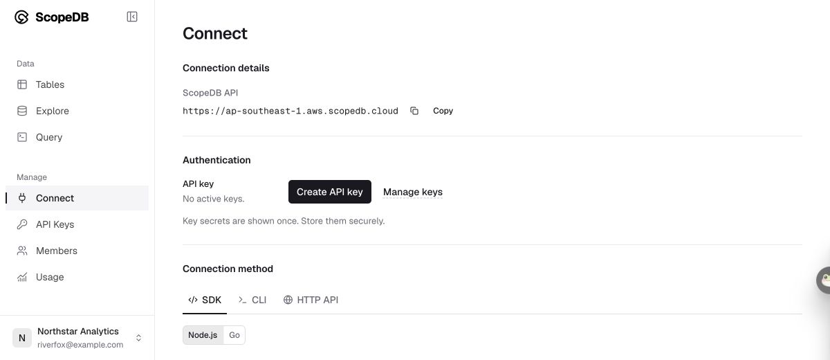 Light-mode Console Connect page for Northstar Analytics, signed in as riverfox@example.com, with the example API address ap-southeast-1.aws.scopedb.cloud.